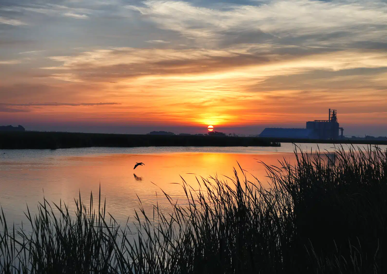 Katherine Plessner Fall Ag Photo