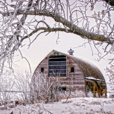 Image for choice number 13