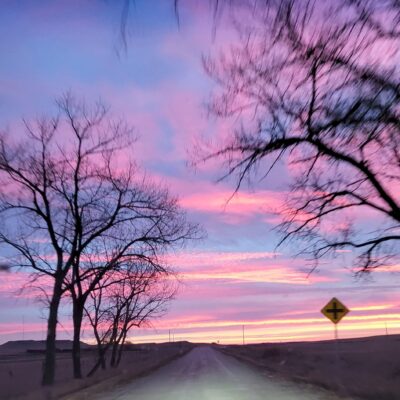 Image for choice number 7