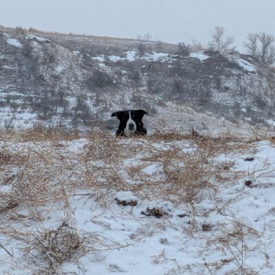 Image for choice number 5