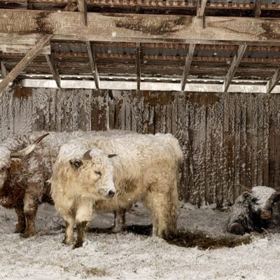 Image for choice number 6