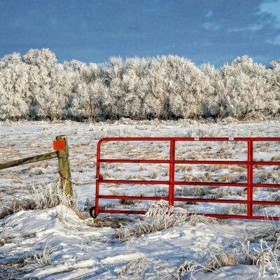 Image for choice number 11