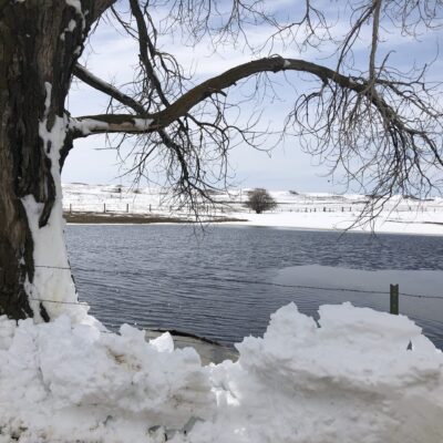 Image for choice number 8