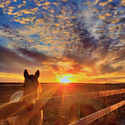 Image for choice number 1